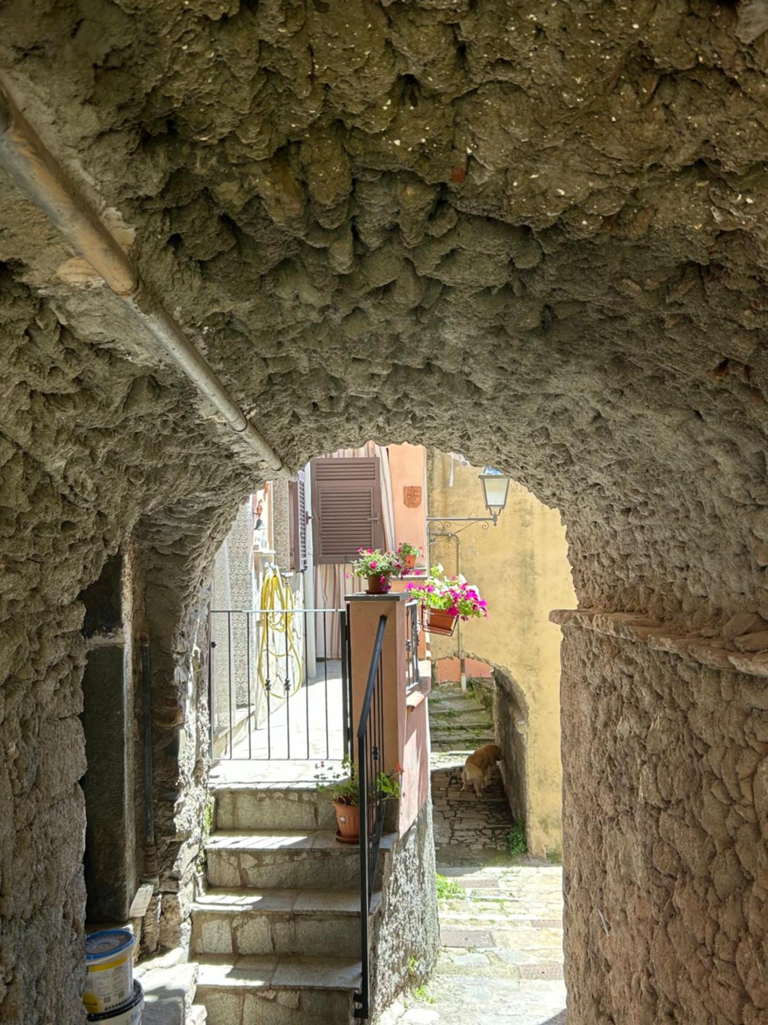 Апартаменты Ca De Igiu-Biassa-Cinque Terre Экстерьер фото